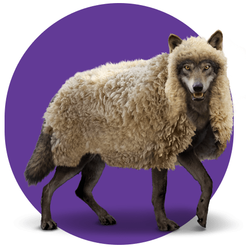 A wolf in sheep's clothing