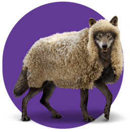 A wolf in sheep's clothing