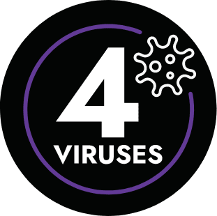 Viruses icon